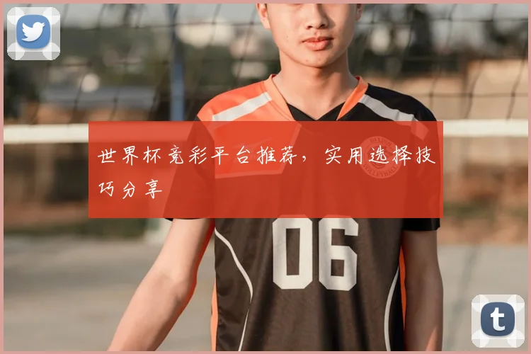 世界杯竞彩平台推荐,实用选择技巧分享