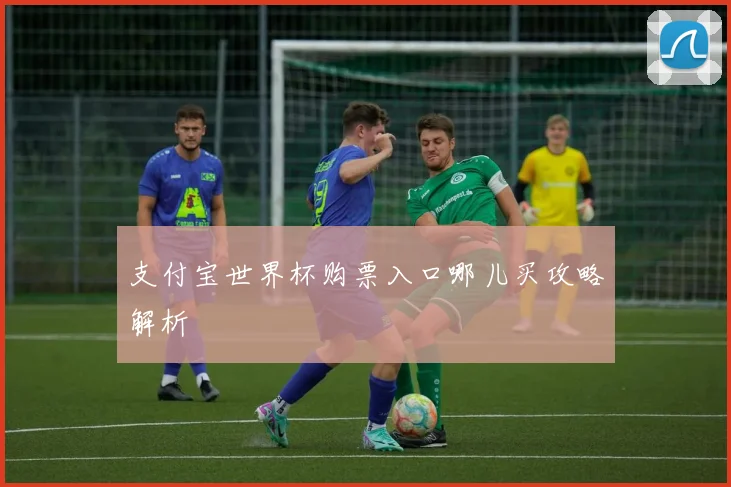 支付宝世界杯购票入口哪儿买攻略解析