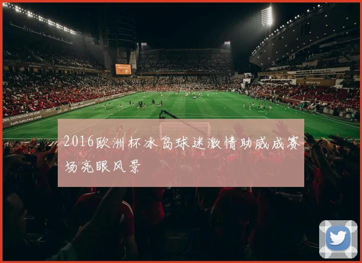 2016欧洲杯冰岛球迷激情助威成赛场亮眼风景