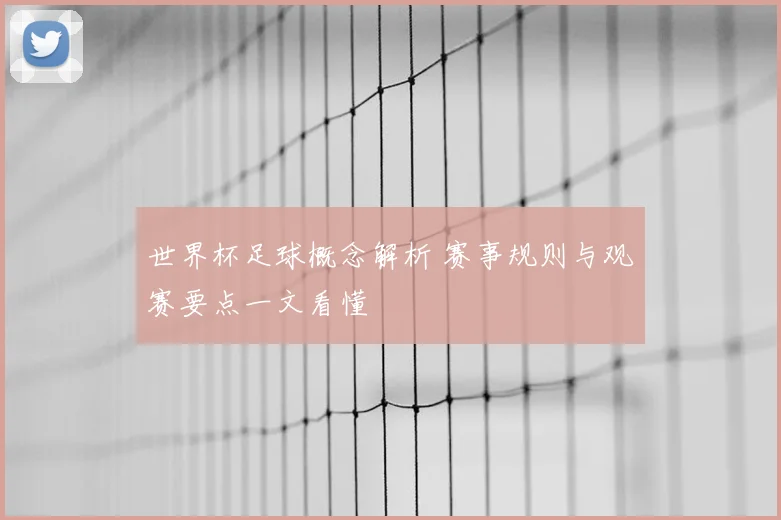 世界杯足球概念解析 赛事规则与观赛要点一文看懂