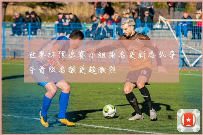 世界杯预选赛小组排名更新各队争夺晋级名额更趋激烈