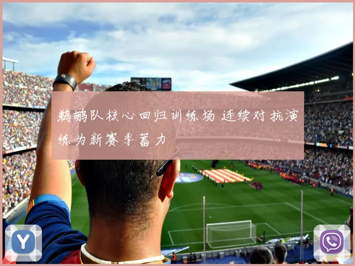 鹈鹕队核心回归训练场 连续对抗演练为新赛季蓄力