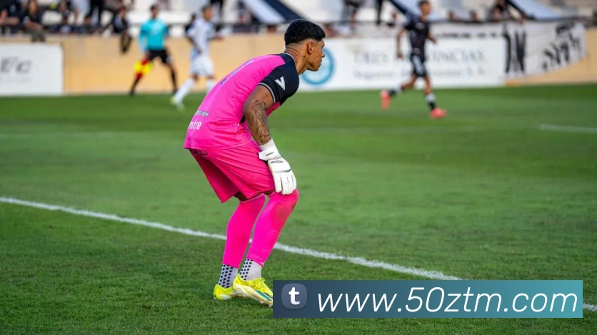 世界杯官网登录app平台生态图