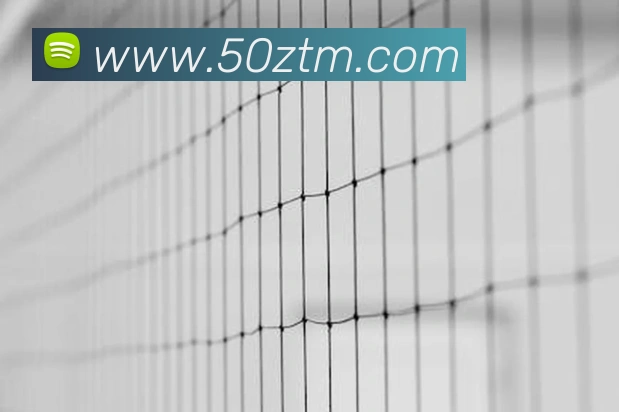 世界杯官网登录appAPP 封面图